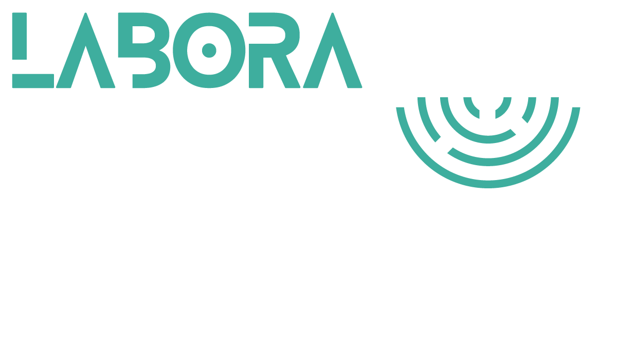 LABORA Career Experience